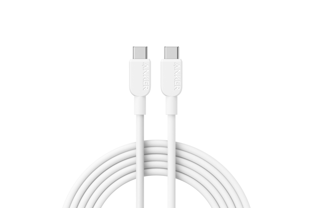 Anker 310 USB C to USB C Cable (10 ft) image 0