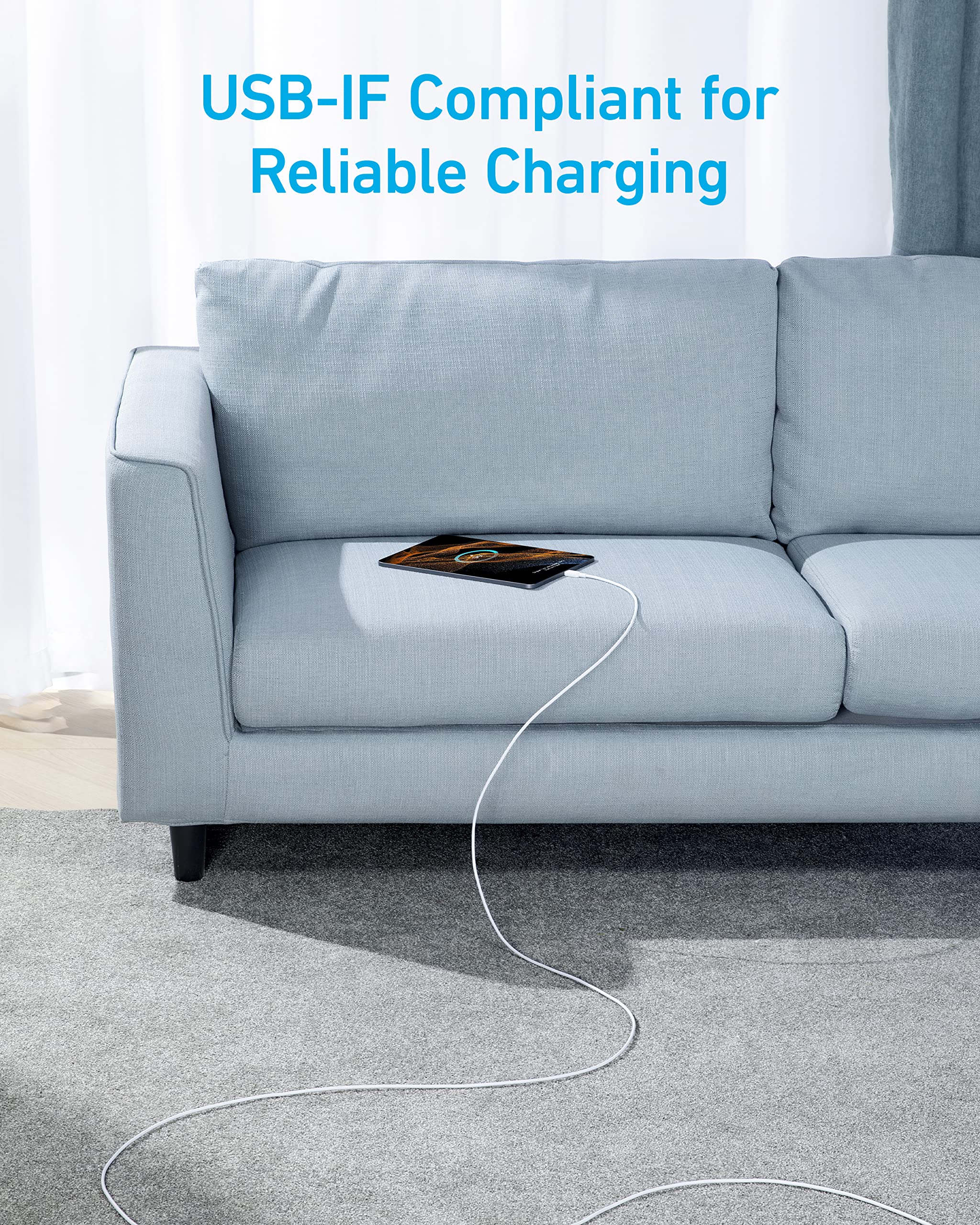 Anker 310 USB C to USB C Cable (10 ft) image 3