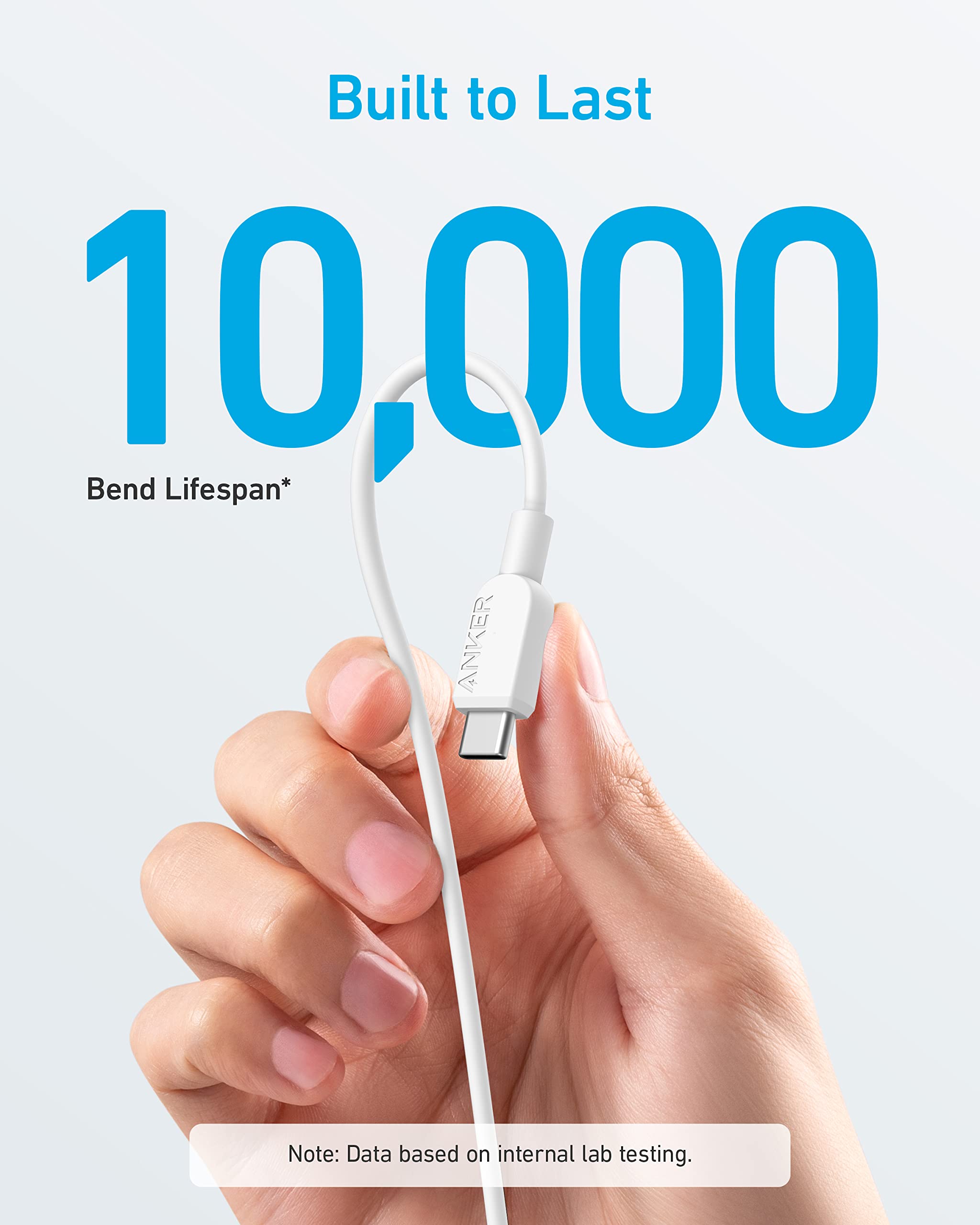 Anker 310 USB C to USB C Cable (10 ft) image 1